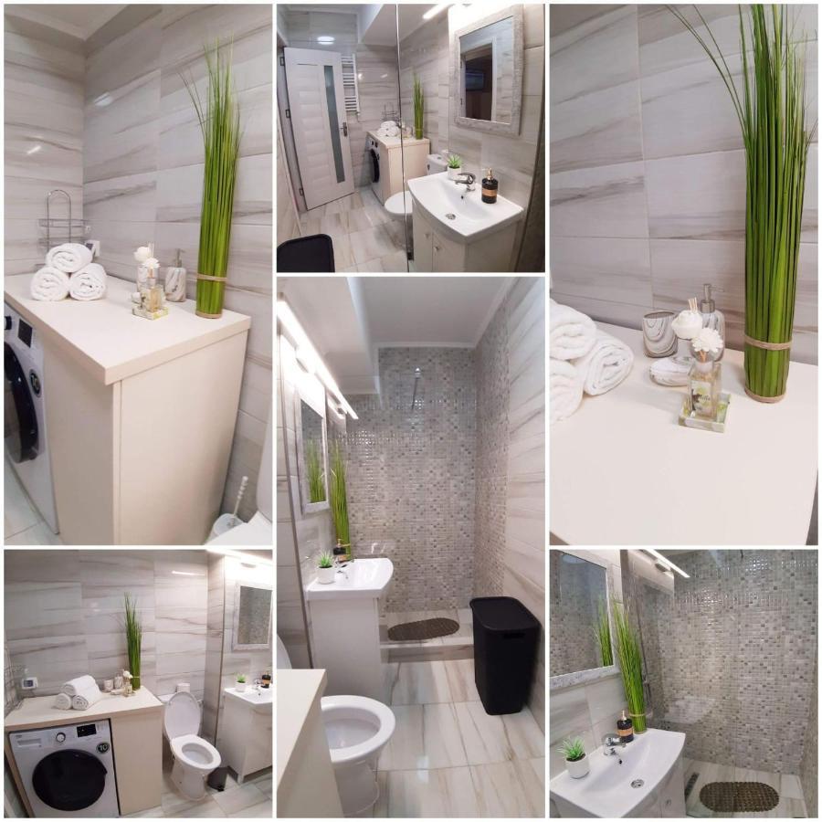 Alex Sofi Studio Navodari Luaran gambar
